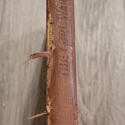 1901 'The Girl Warriors' by Adene Williams