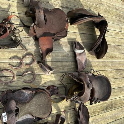 Saddles & More for decoration