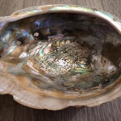 Large Abalone Shell with Sage