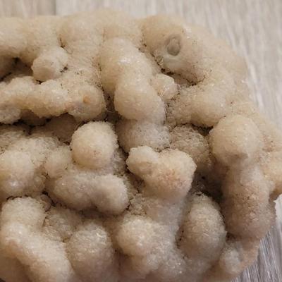 Septerian Nodule (Mineral) and Aragonite Cave Crystal