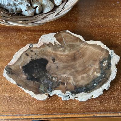 Estate collection of shells, rocks and minerals, group lot