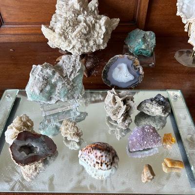 Estate collection of shells, rocks and minerals, group lot