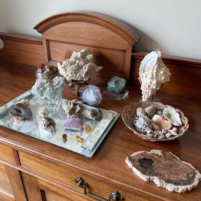 Estate collection of shells, rocks and minerals, group lot