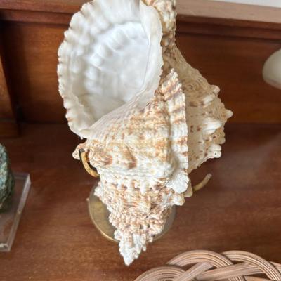 Estate collection of shells, rocks and minerals, group lot