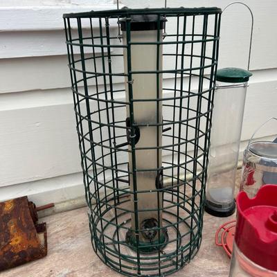 Bird feeders as seen