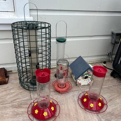 Bird feeders as seen