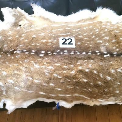 Spotted Deer Skin - 33 Wide x 50