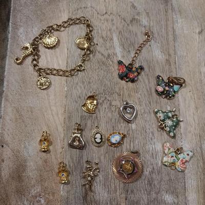 Bracelet and various charms