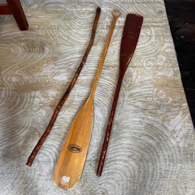 N450 Canoe Paddles and Hiking Stick