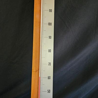 Thermometer and Analog Weather Station (K-DW)