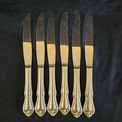 W.M.A. Rogers Oneida Silverware Set (DR-DW)