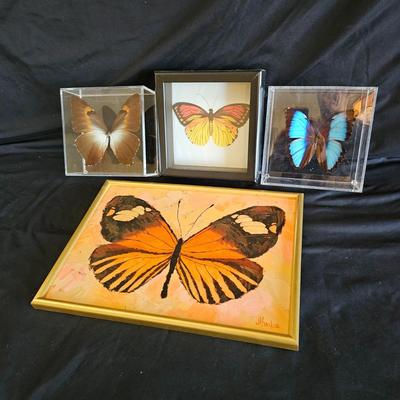 Original Butterfly Oil Painting by J. Hooks & More (DR-DW)