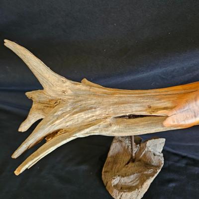 Wooden Birds and Fowl (LR-DW)