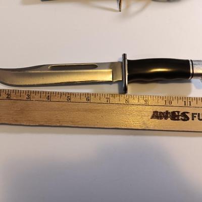 Nice Buck 120 with General Phenolic Handle