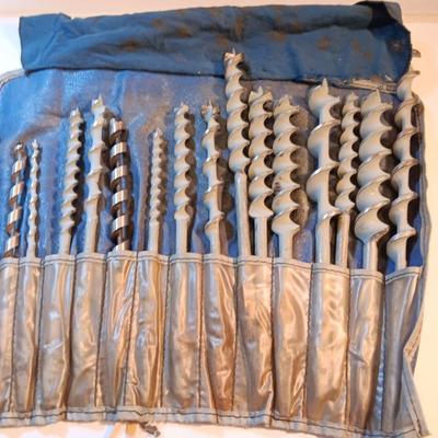 Assortment of drill bits