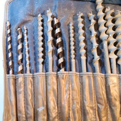 Assortment of drill bits