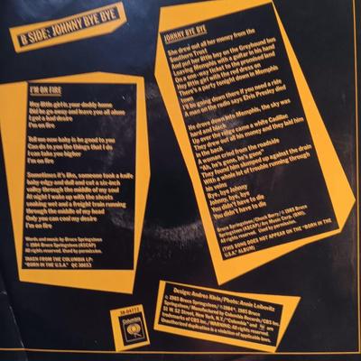 Bruce Springsteen Vinyl Albums 45's record