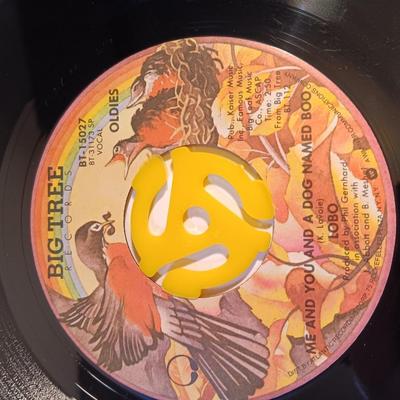 Vinyl albums 45's record - LOBO - Steve Lawrence - Jim Lowe - Gerry & the pacemakers