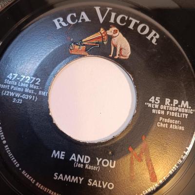 Vinyl albums 45's record - Sammy Salvo - Linda Scott - The shepherd sisters - Paul Simon and more