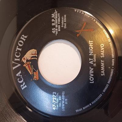 Vinyl albums 45's record - Sammy Salvo - Linda Scott - The shepherd sisters - Paul Simon and more