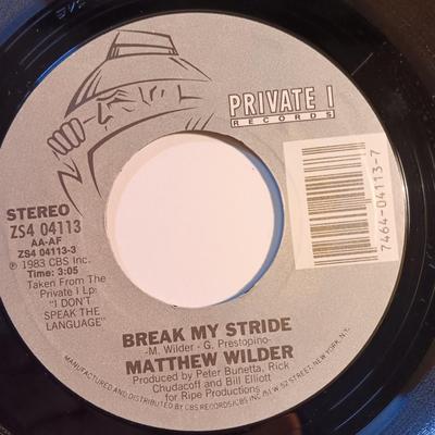 Vinyl albums 45's record -The Tokens - Diana Ross - Slave - Matthew Wilder - Doris Troy and more