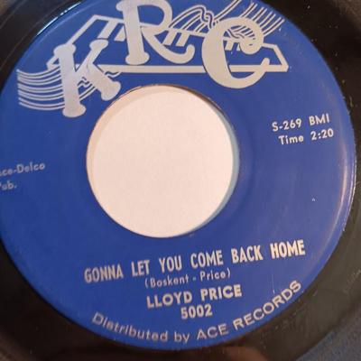 Vinyl albums 45's record -John Parr - Outlaws - Pointer sisters - Lloyd Price -The platters and more