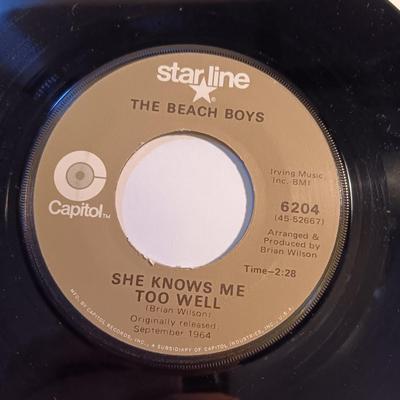 Vinyl albums 45's record - The Beatles & The Beach Boys