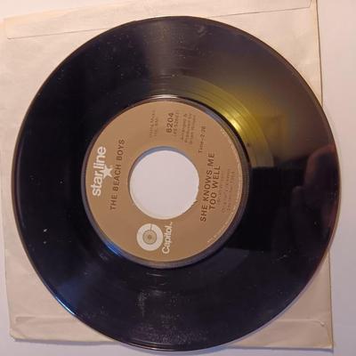 Vinyl albums 45's record - The Beatles & The Beach Boys
