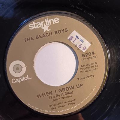 Vinyl albums 45's record - The Beatles & The Beach Boys