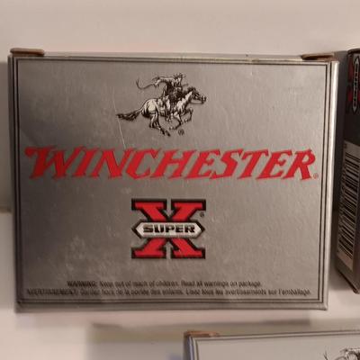Winchester Buckshot loads 20 GA. Unplated Shot 15 Shells