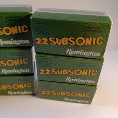 Remington 22 Subsonic 22 long rifle Hollow Points - Ammunition