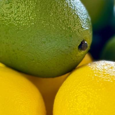 Decorative Lemon and Limes