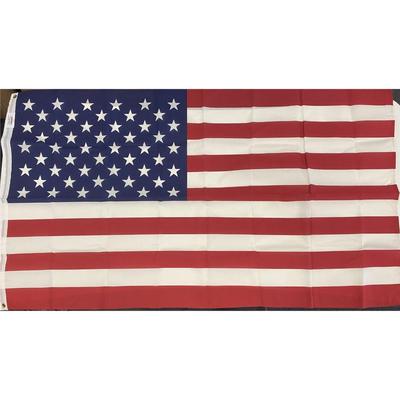 Vintage Sentinel U.S Flag