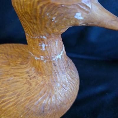 Water Fowl Decoys, a Book & More (LR-DW)