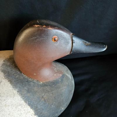 Water Fowl Decoys, a Book & More (LR-DW)