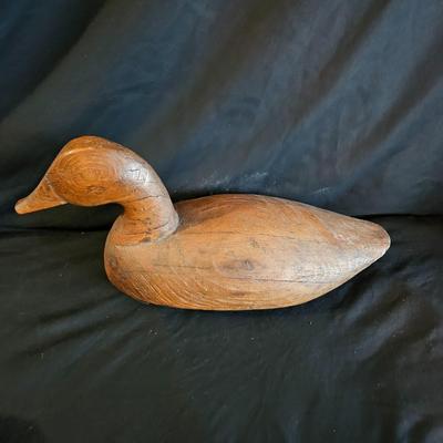 Water Fowl Decoys, a Book & More (LR-DW)