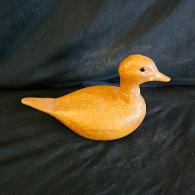 Water Fowl Decoys, a Book & More (LR-DW)