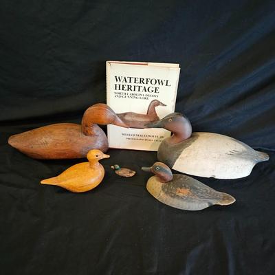 Water Fowl Decoys, a Book & More (LR-DW)
