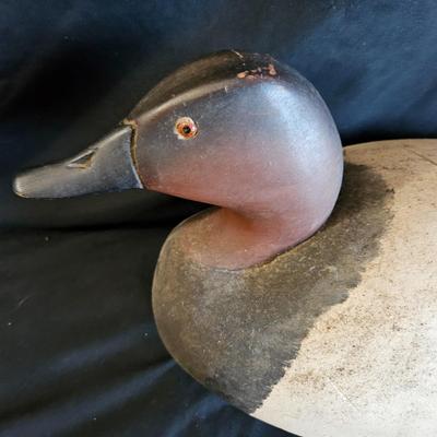 Water Fowl Decoys, a Book & More (LR-DW)