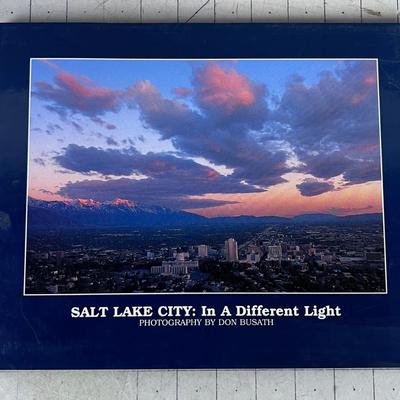 (AWESOME photography) SALT LAKE CITY IN A DIFFERENT LIGHT, by Don Busath