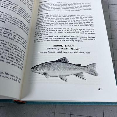 Fishing Books, Including Fishes of Utah 1963 
