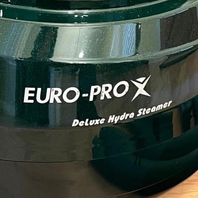 EURO-PRO ~ Deluxe Hydro Steamer
