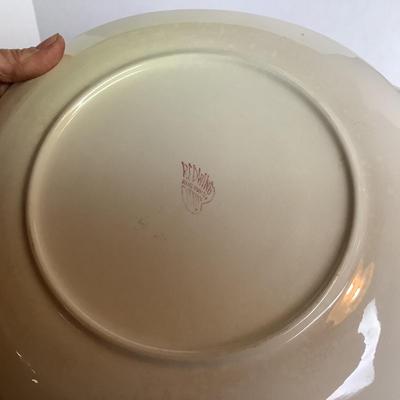 504 Set of 10 Redwing Pottery Hand Painted Rose Plates