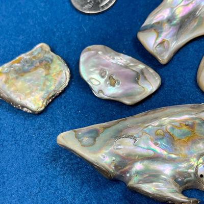 FIVE PIECES OF POLISHED ABALONE