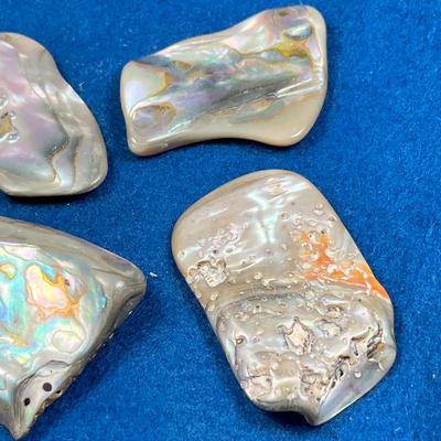 FIVE PIECES OF POLISHED ABALONE