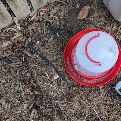 Chicken Feeders and Waterer
