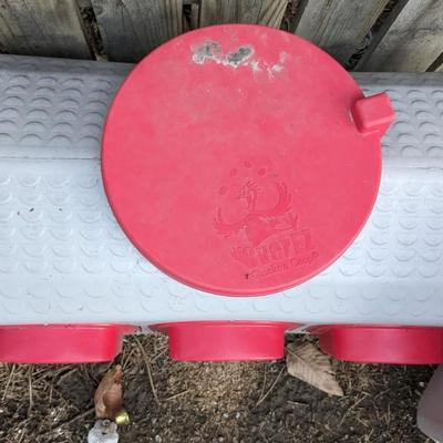 Chicken Feeders and Waterer