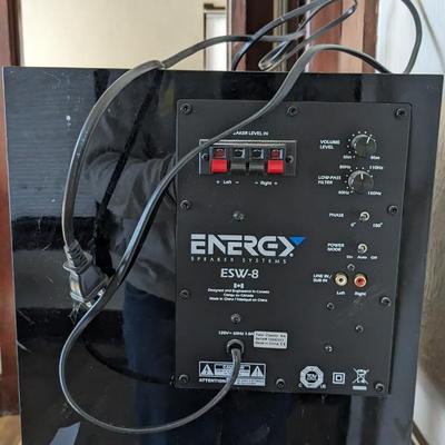 Energy Speakers and Pioneer Cabinet