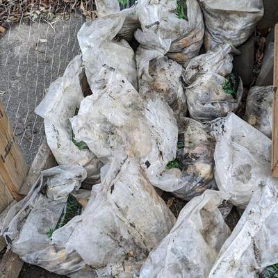 Landscaping Rock