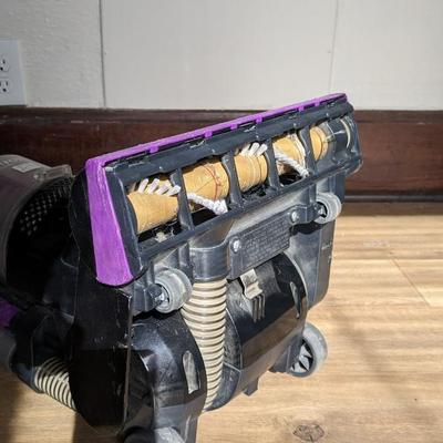 Upright Vacuum and Shampooer